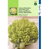 Hortitops 2 stuks Bloemkool Minaret, Groene Romanesco