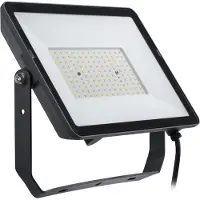 Philips ProjectLine straler 100W koel wit licht - 4000K