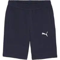 Puma Sportbroek 'TeamGOAL'