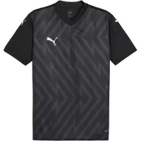 Puma teamGLORY Voetbalshirt Zwart Wit Grijs
