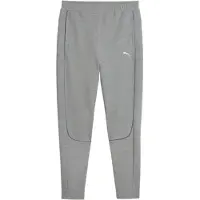 Puma Sportbroek 'Team Final' grijs gemêleerd