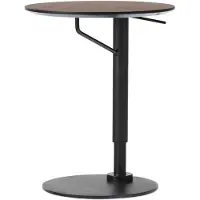 Audo Copenhagen Branch Bijzettafel Dark Stained Oak