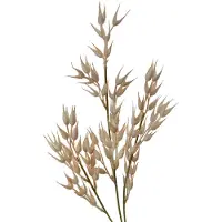 Clayre & Eef Kunstbloem 72 cm Beige Kunststof Beige