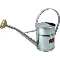 Synx Tools Gieter met sproeikop Verzinkt Zilver 2Liter - Verzinkte Gieters - gieters Verzinkt voor binnen/buiten - kleine gieter