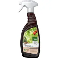 Pokon Kuur Voor Weerbare En Gezonde Planten Spray 750 Ml