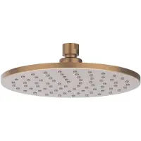 Ivy Aia Hoofddouche medium 20 cm anti-kalk nozzels geborsteld mat koper pvd