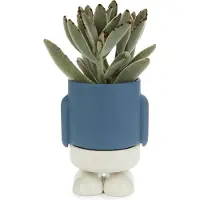 Balvi Mini Bloempot Flower Pot Mr.Standy