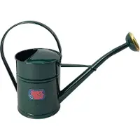 Synx Tools Gieter Groen 2L Groen Metaal Gieters - gieters voor binnen - gieters voor binnen/buiten