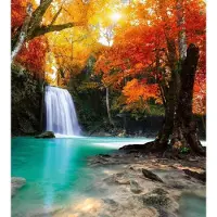 Dimex Fotobehang - Deep Forest Waterfall 225x250cm - Vliesbehang