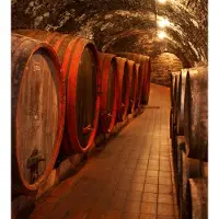 Dimex Fotobehang - Wine Barrels 225x250cm - Vliesbehang