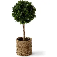 Dulaire Kunstplant Buxus In Pot