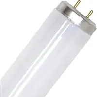 SPL G13 T12 TL-Buis | 40W 3500K 960lm 635 | 600mm
