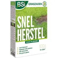 Bsi Graszaad Snel herstel 500g Zaad