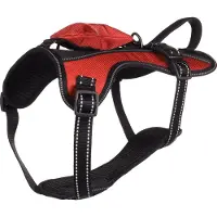Flamingo Kelso - Harnas Honden - Harnas Kelso Rood M 34-50cm 20mm - 1st - 131689 - 1st