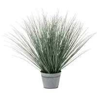 Dulaire Kunstplant Gras In Pot 66 cm