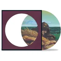 Rhino Records Wake Of The Flood 50th Anniversary Picture Disc