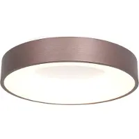 Steinhauer Plafondlamp Ringlede 30cm brons