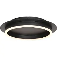 Steinhauer Plafondlamp Ringlux Zwart