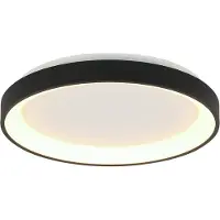 Steinhauer Plafondlamp Ringlede 28cm Zwart rond dimbaar 1600 lumen