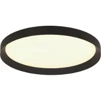 Steinhauer Plafondlamp Flady 50cm zwart 4600 Lumen