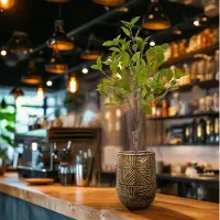 Maxifleur Kunstplanten Ficus Natasja Kunst Bonsai 60cm groen