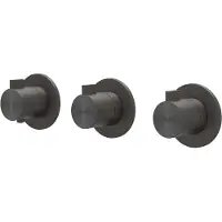 Ivy Aia Tribe Afbouwdeel inbouwthermostaat met 2 stopkranen symmetry met ronde rozetten RVS316 geborsteld carbon black PVD