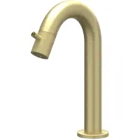 Ivy Aia Concord Fonteinkraan gebogen staand model S RVS316 geborsteld mat goud PVD