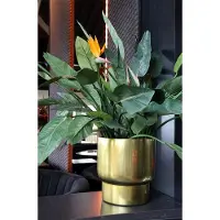 Vase the World Bloempot Roskilde | Small | Gold - Goud | Plantenbak | Ø37xH40cm