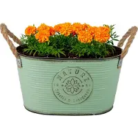Sunnydays Teil/plantenpot/bloempot - zink - jadegroen - L29 x D18 x H15 cm