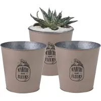 Sunnydays Emmer/plantenpot/bloempot - 3x - zink - taupe - D23 x H22 cm