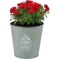 Sunnydays Emmer/plantenpot/bloempot - zink - jadegroen - D23 x H22 cm