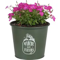 Sunnydays /plantenpot/bloempot - zink - legergroen - D19 x H16 cm