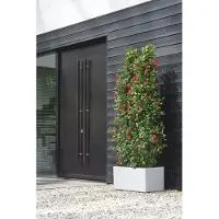 Elho Vivo Next Lang 80 - Plantenbak voor Binnen & Buiten Rechthoekig - 100% Gerecycled Plastic - L 78.0 x H 37.9 cm - Wit