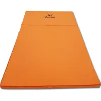 Viking Choice Fitness Matras Opvouwbaar 80x200x5 cm - Waterdicht Zwart Polyester -