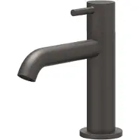 Ivy Aia Concord Fonteinkraan staand model S RVS316 geborsteld carbon black PVD