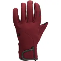 Richa Scoot Softshell Dameshandschoenen