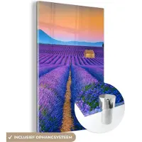 MuchoWow Glasschilderij 100x150 cm - Schilderij acrylglas - Lavendel - Paars - Bloemen - Foto op glas - Schilderijen