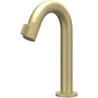 Ivy Aia Tribe Fonteinkraan gebogen staand model S RVS316 geborsteld mat goud PVD