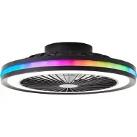 Brilliant Palmero - Plafondventilator - Plafondventilator - LED 40W - 3000K-6500K - Dimbaar - Zwart
