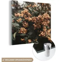 MuchoWow Glasschilderij 20x20 cm - Schilderij acrylglas - Bessen - Natuur - Bladeren - Struik - Foto op glas - Schilderijen