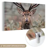 MuchoWow Glasschilderij 80x40 cm - Schilderij acrylglas - Hert - Natuur - Herfst - Bosdieren - Foto op glas - Schilderijen