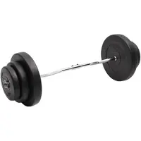 vidaXL Halter gebogen met gewichten 60 kg