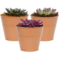 Mega Collections plantenpot/bloempot Bob - 3x - zink - terra - D11 X H10 cm