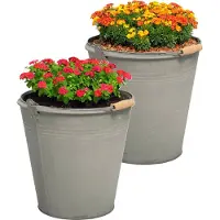 Mega Collections Emmer/plantenpot/bloempot Eddy - 2x - zink - zilver - D25 X H22 cm