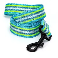 Nobleza Hondenriem Reflecterend - Hondenlijn - Uitlaatriem Hond - Nylon - 120 cm x 2 cm - Groen