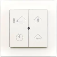 Inventum RF schakelaar 4 standen - 15081300