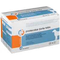 Ecuphar Protecdiar Forte 96 St Tabletten