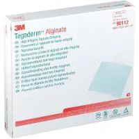 3M Tegaderm Alginate - Alginaatverband 10cm X 10cm 90112 5 St Compressen