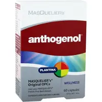 Merkloos MasQuelier's Anthogenol | 60 capsules
