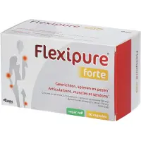 FlexiPure Forte | Gewrichten, Spieren en Pezen | Kurkuma & Boswelia 90 St Capsules